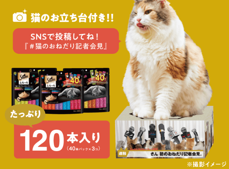 ニャンズカードキャンペーン限定BOX「猫のお立ち台」