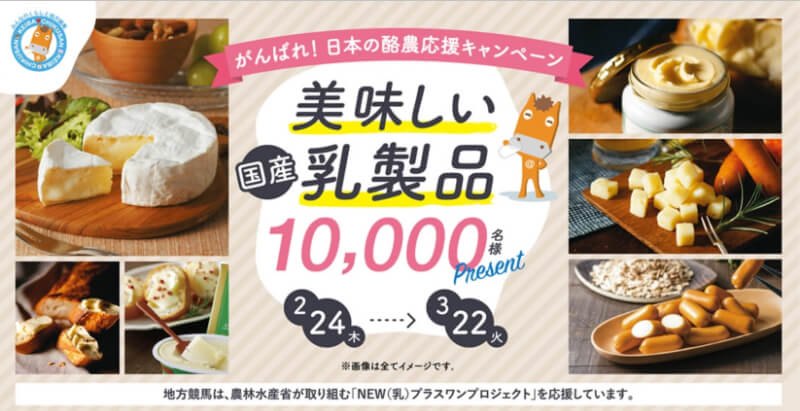 【抽選】クイズに答えて1万名に乳製品詰め合わせが当たる「がんばれ！日本の酪農応援キャンペーン」が開催中