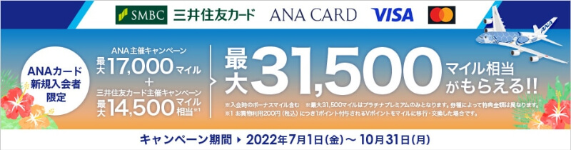 ANA カード入 VISA会キャンペーン