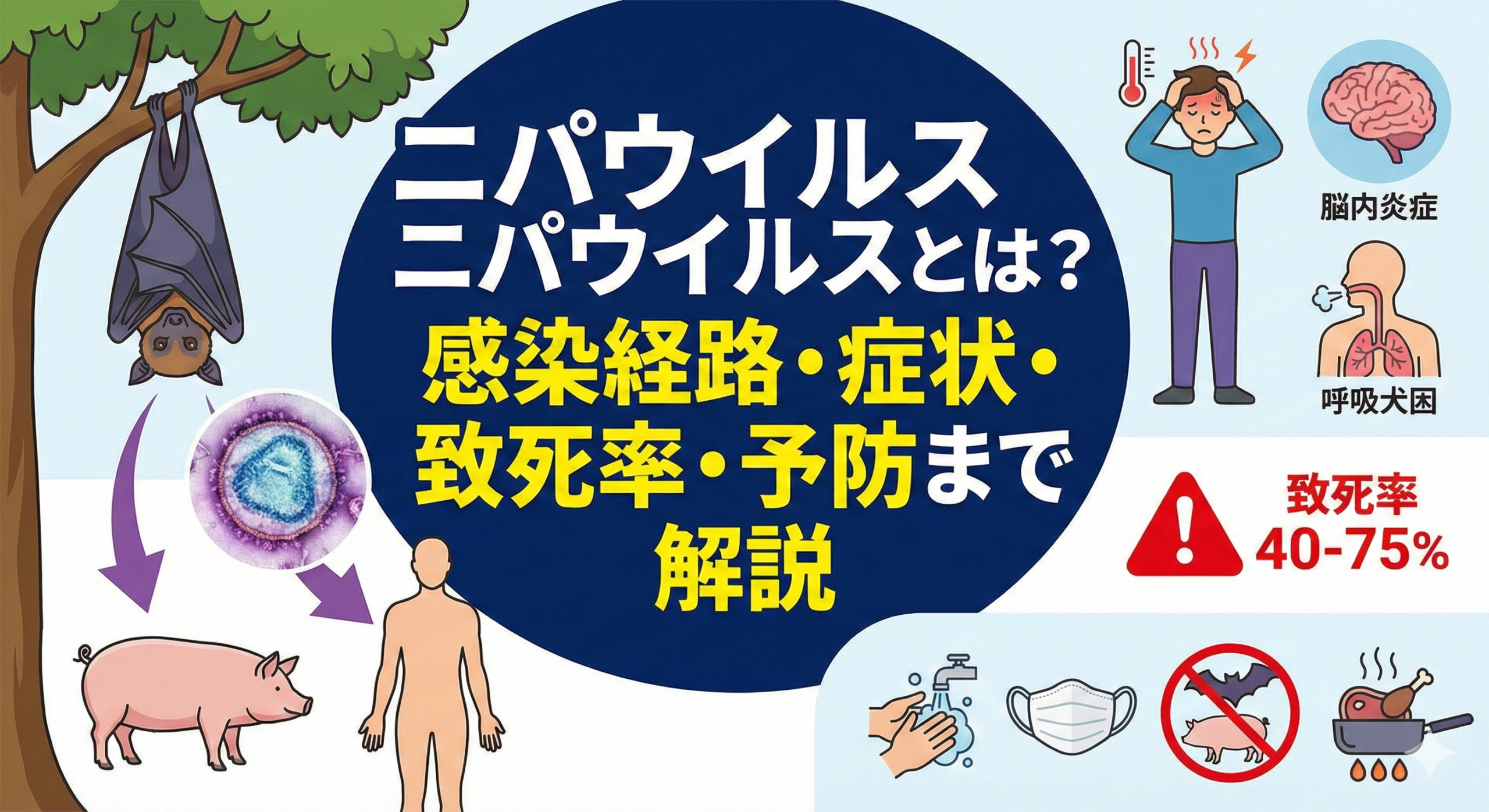 ニパウイルスとは？感染経路・症状・致死率・予防まで「記事内で完結」解説