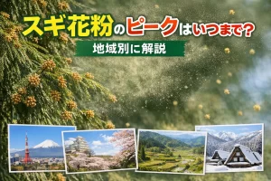 スギ花粉のアイキャッチ